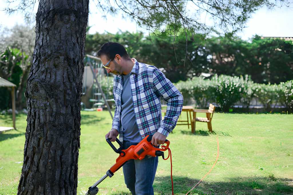 Tree Maintenance 