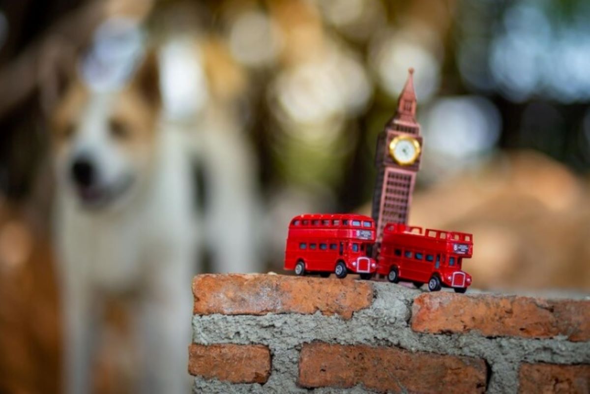 Fit and Playful: How Thomas the Train Toys Encourage Active Lifestyle Habits